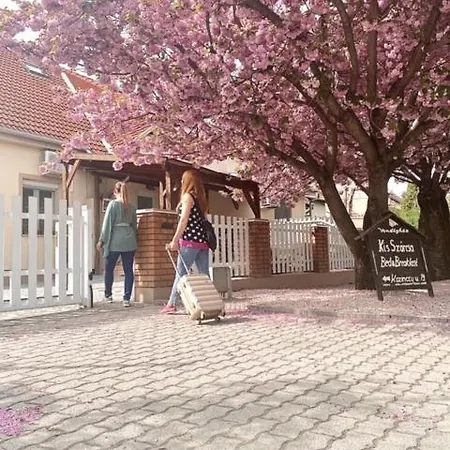 Pensjonat Kis Szarcsa Vendeghaz