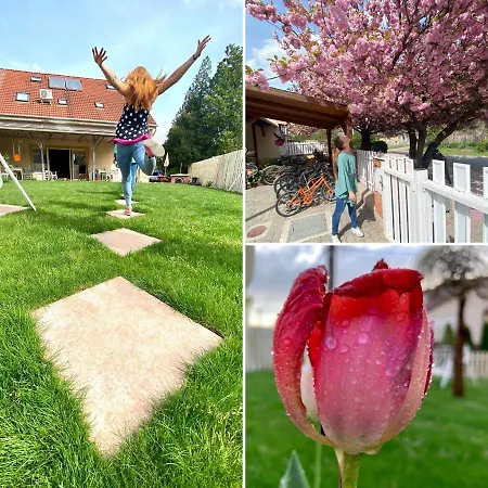 Kis Szarcsa Vendeghaz Pensjonat 3*