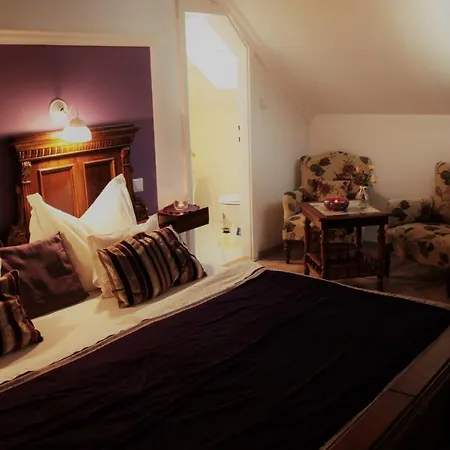 Pensjonat Kis Szarcsa Vendeghaz