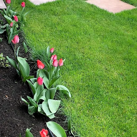 Pensjonat Kis Szarcsa Vendeghaz 3*