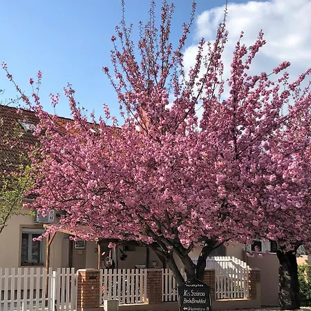 Kis Szarcsa Vendeghaz Gárdony