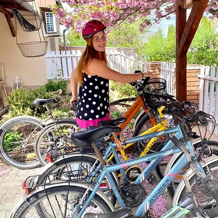 Kis Szárcsa Vendégház