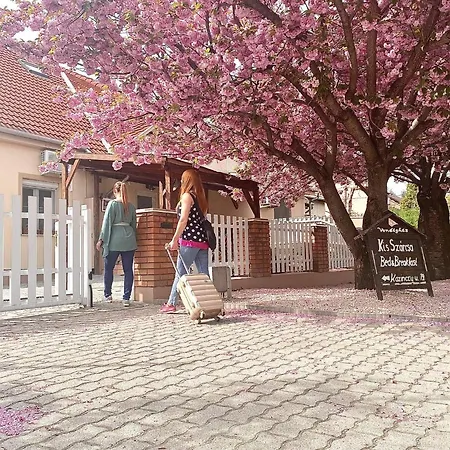 Kis Szárcsa Vendégház Casa de hóspedes