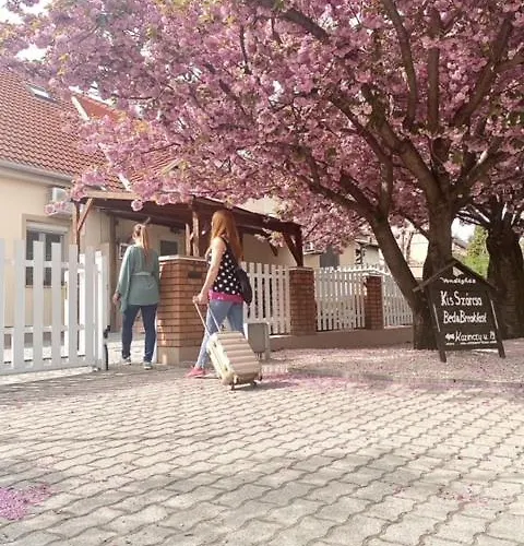 Pensjonat Kis Szarcsa Vendeghaz