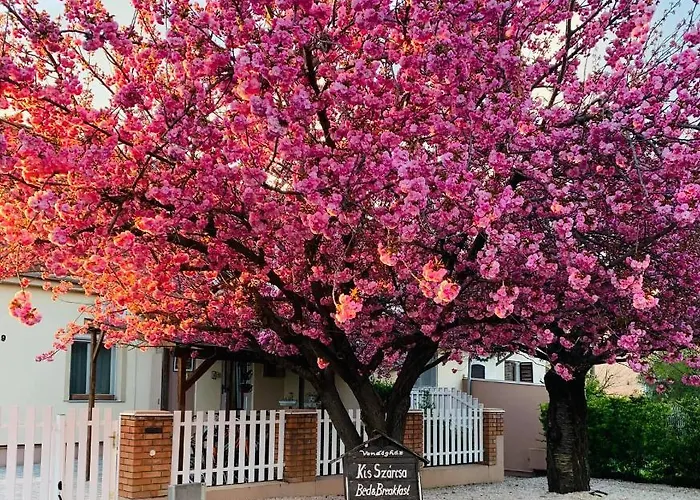 Penzion Kis Szarcsa Vendeghaz 3*