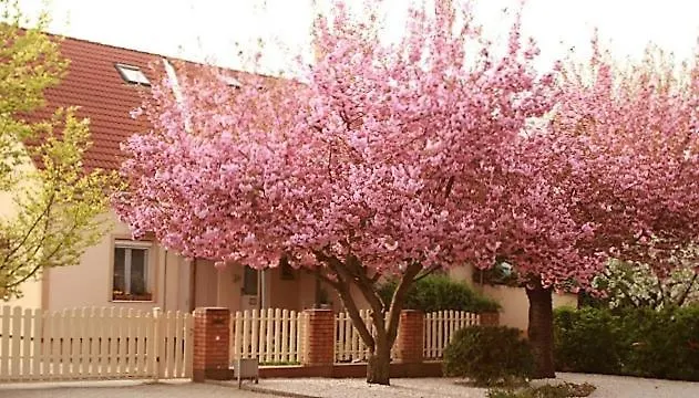 Kis Szarcsa Vendeghaz Penzion