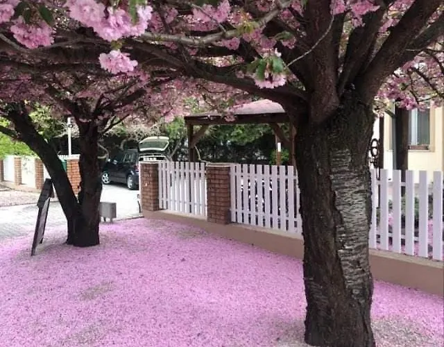 Kis Szarcsa Vendeghaz 3* Gárdony