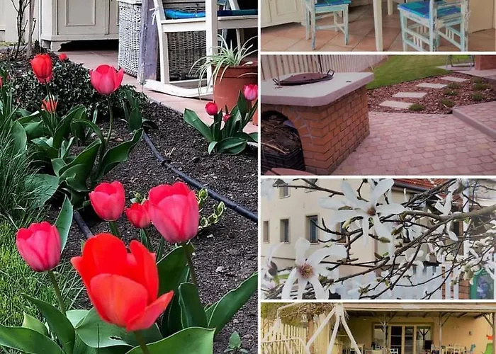 Penzion Kis Szarcsa Vendeghaz Gárdony