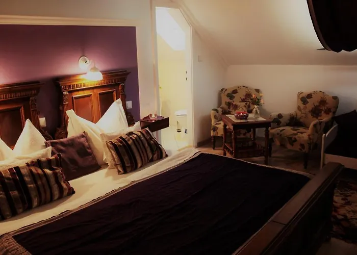 Pensjonat Kis Szarcsa Vendeghaz