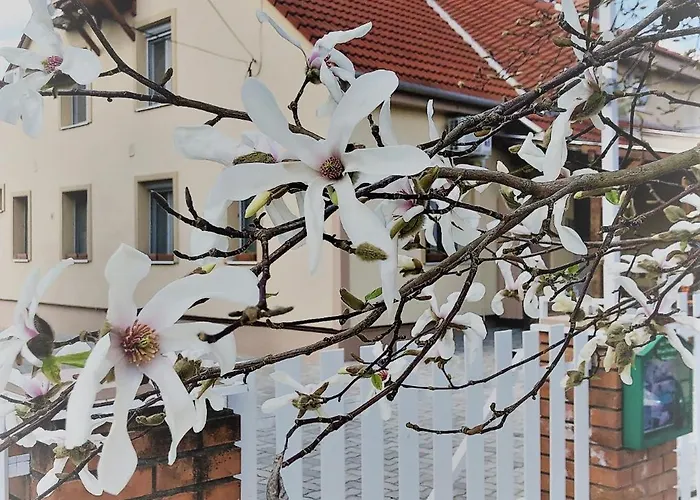 Penzion Kis Szarcsa Vendeghaz