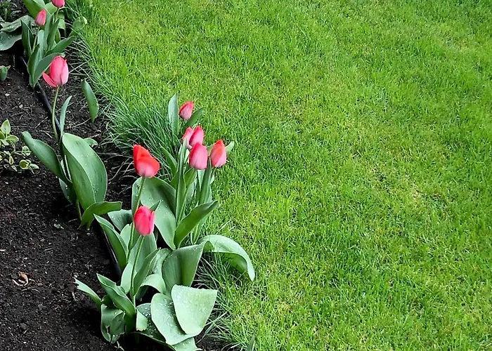 Pensjonat Kis Szarcsa Vendeghaz 3*