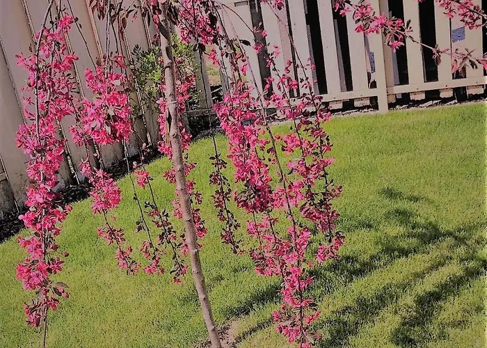 Kis Szarcsa Vendeghaz Gárdony