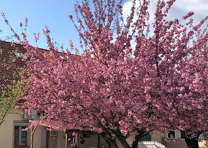 Kis Szarcsa Vendeghaz Gárdony