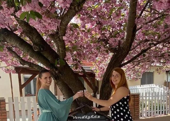 Kis Szarcsa Vendeghaz 3*