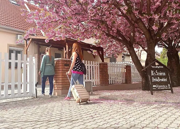 Kis Szarcsa Vendeghaz Penzion